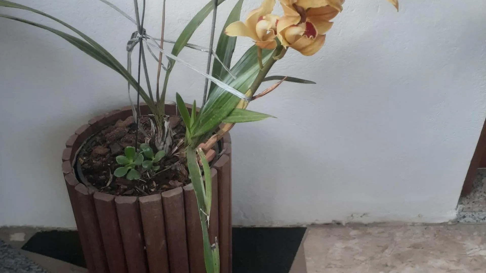فيلا Casa Bela Vista Campos do Jordão بيت للعطل